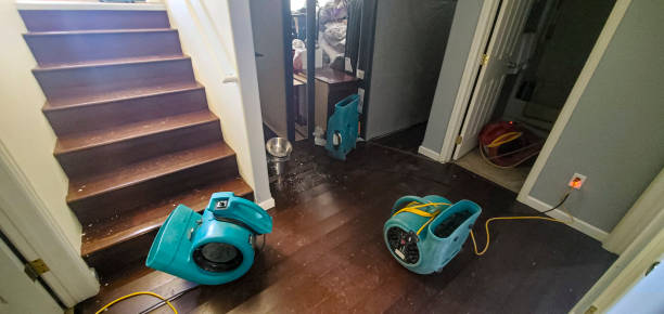 Best Water damage contractors near me  in Scott Af, IL