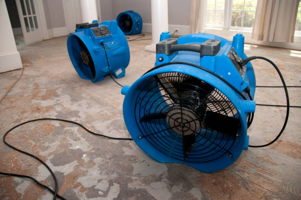Best Sewage cleanup and water damage restoration  in Scott Af, IL