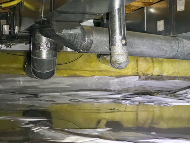 Reliable Scott Af, IL Water damage restoration Solutions