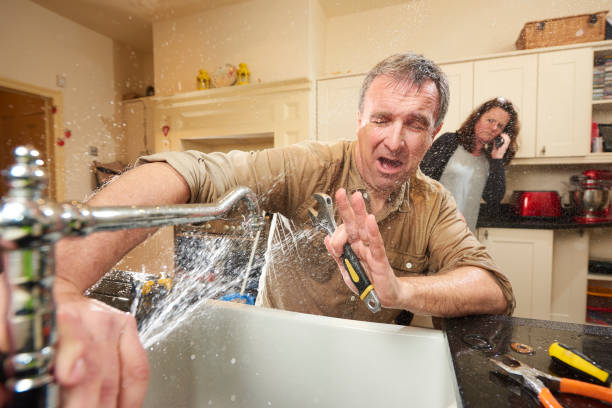 Best Carpet water damage restoration  in Scott Af, IL